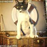Golda Cremin