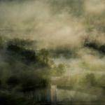 Deborah Schuster