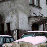 Myrtle Schumm