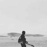 Nash Rippin