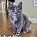 Willow Strosin