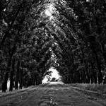 Bernard Graham