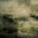 Dana Boyle